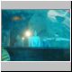 2002-04-14 C25 Kids and Shark.jpg